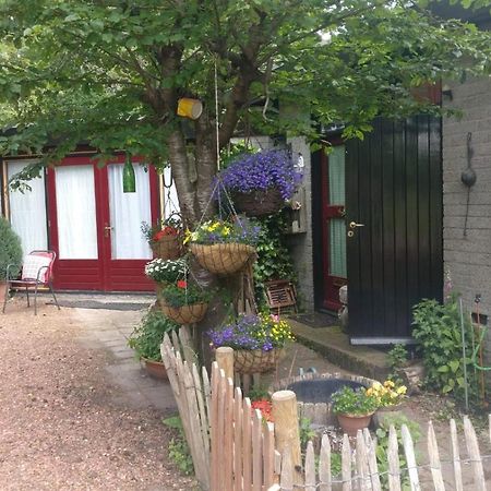 Bed And Breakfast Het Oude Bos Wijnjewoude Zewnętrze zdjęcie