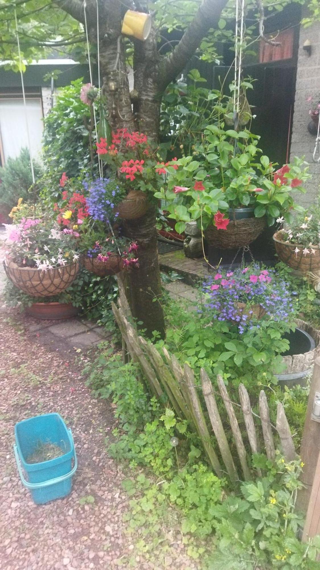 Bed And Breakfast Het Oude Bos Wijnjewoude Zewnętrze zdjęcie